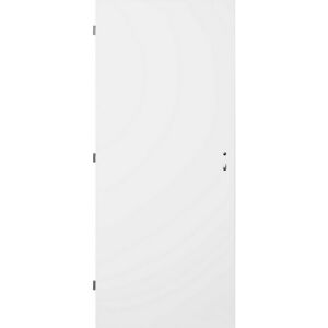 Dveře ocelové plné protipožární pravé šířka 800 mm bílé